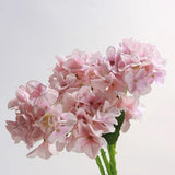 リアルタッチフェイク小型北欧アジサイ