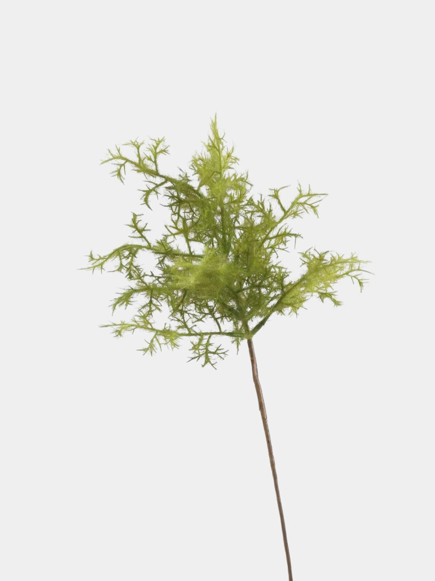 Faux Smoke Bush Spray – 27"