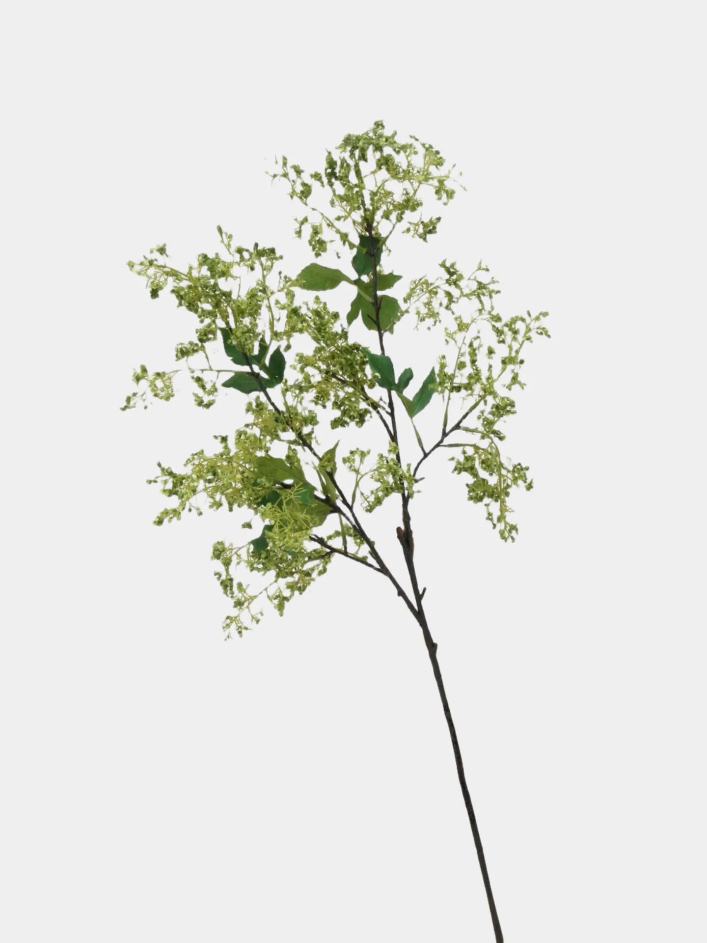 ニセスモークブッシュの茎 – グリーン 31.5インチ