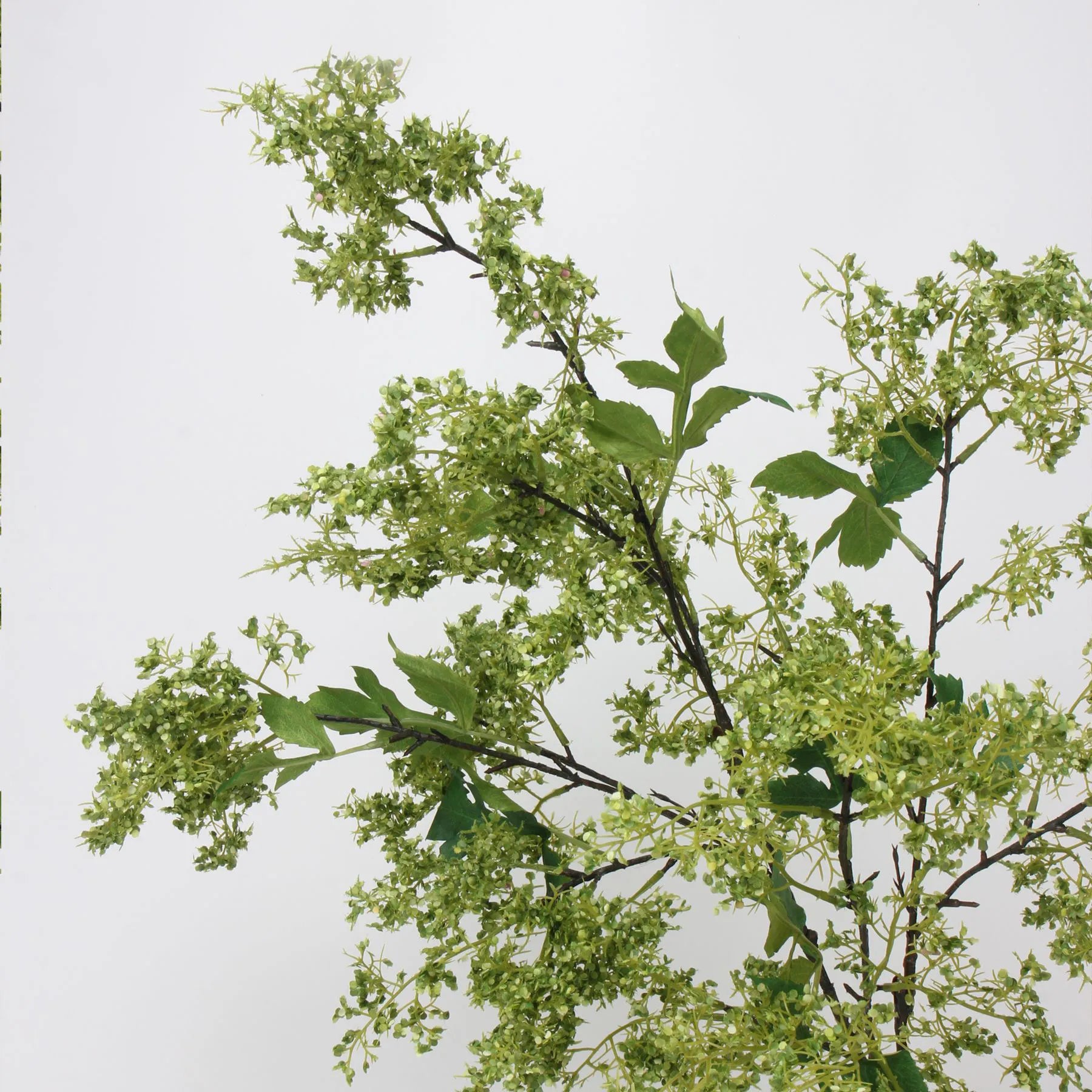 ニセスモークブッシュの茎 – グリーン 31.5インチ