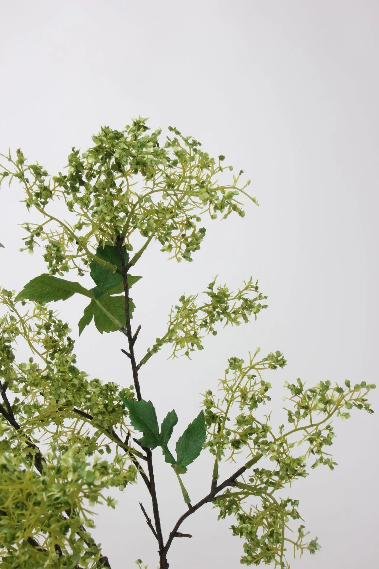 ニセスモークブッシュの茎 – グリーン 31.5インチ