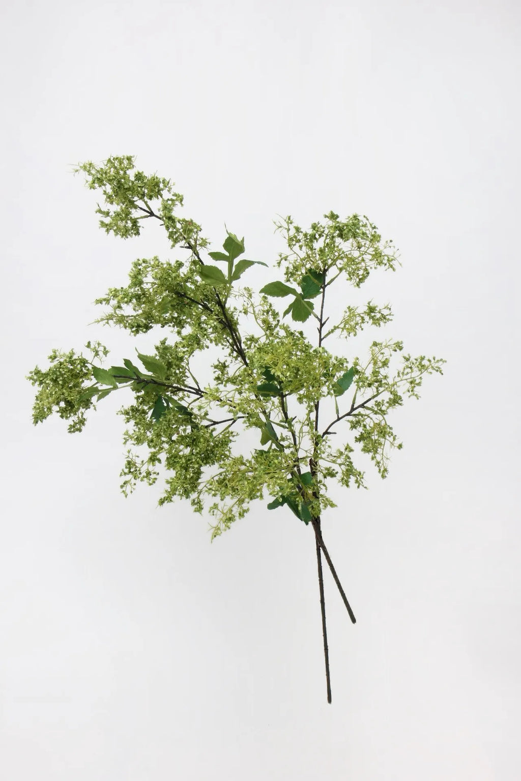 ニセスモークブッシュの茎 – グリーン 31.5インチ