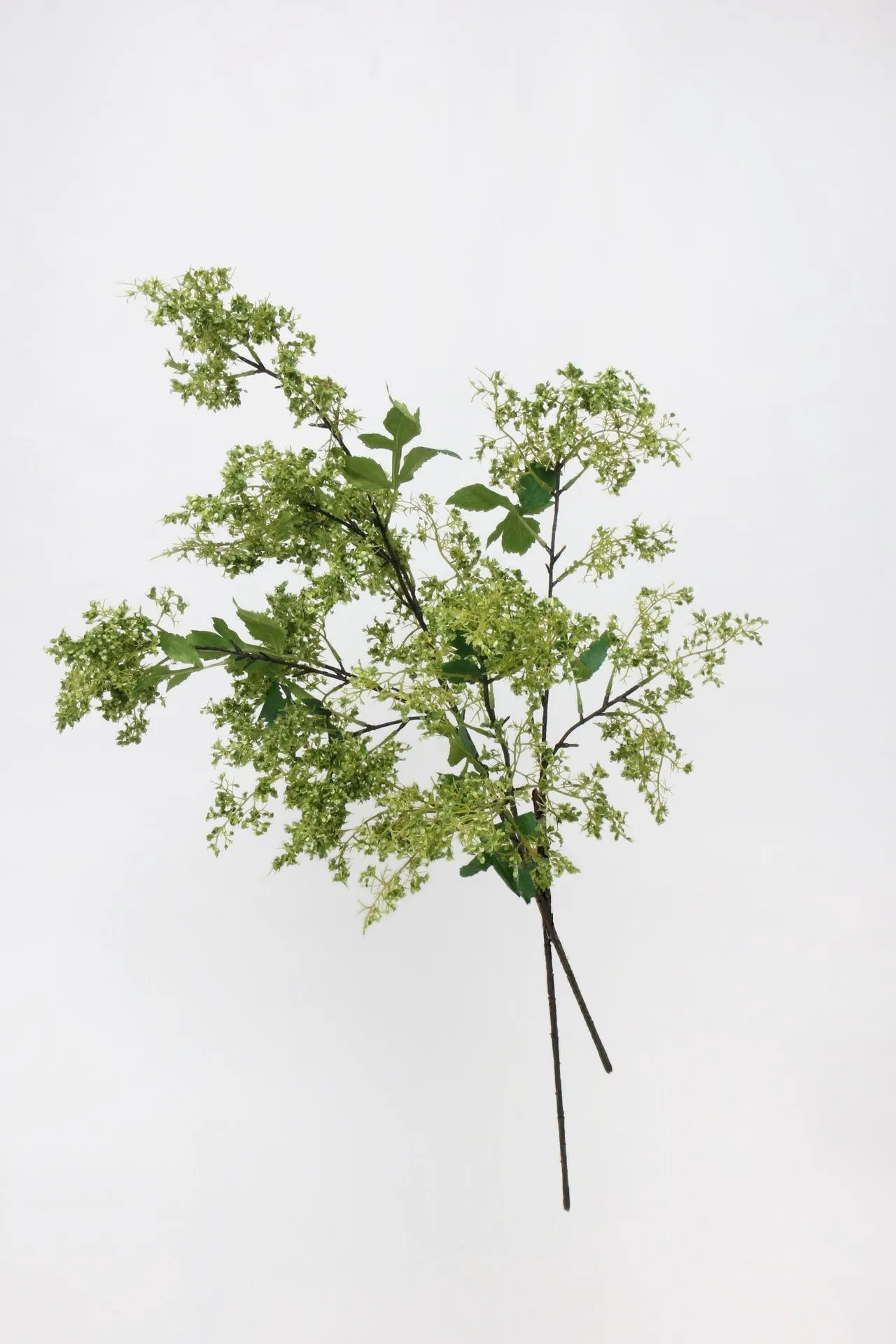 ニセスモークブッシュの茎 – グリーン 31.5インチ