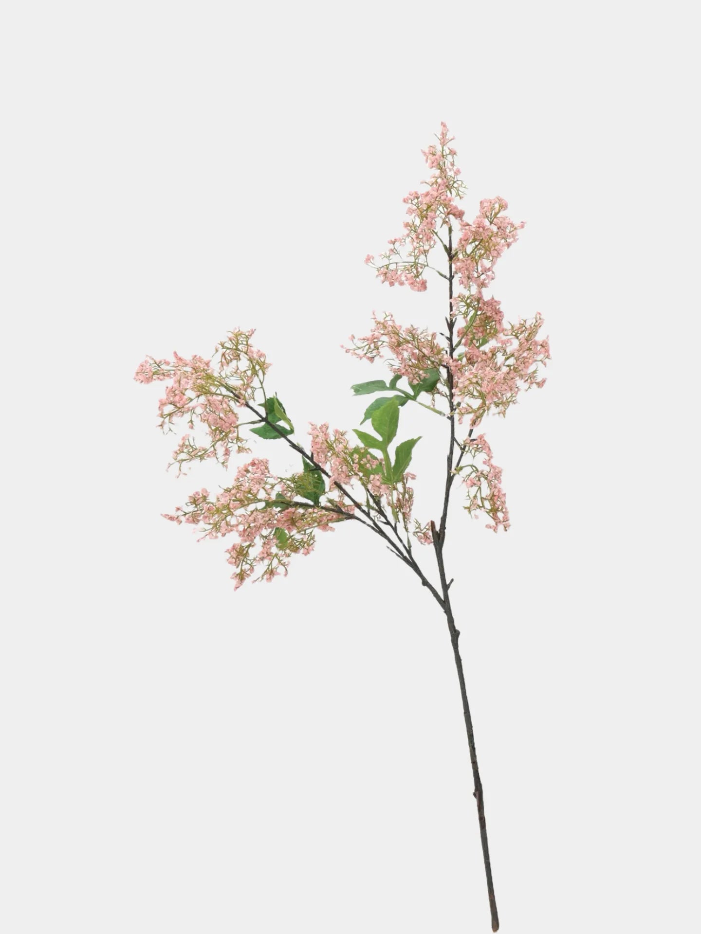 ニセスモークブッシュの茎 –ピンク 31.5インチ