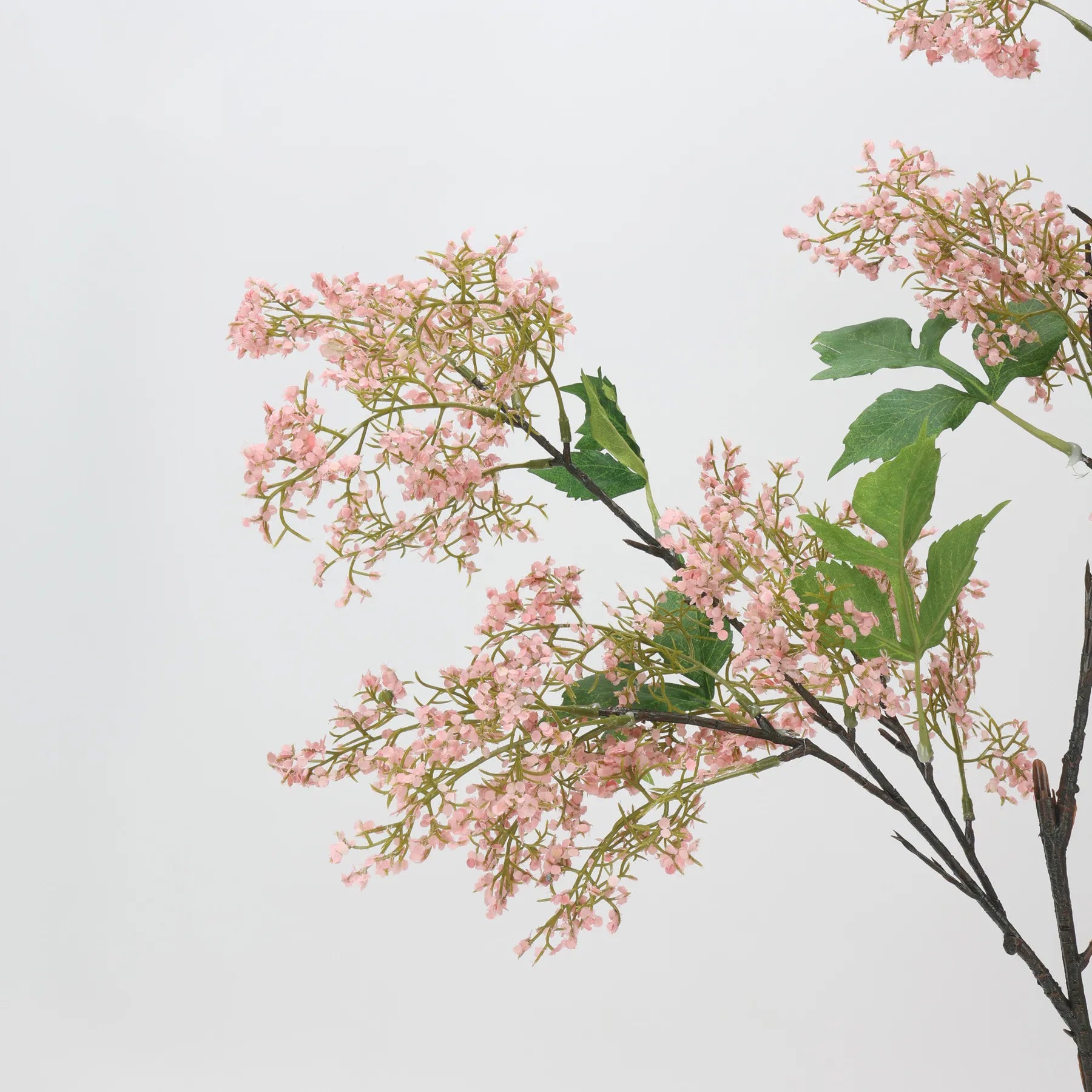 ニセスモークブッシュの茎 –ピンク 31.5インチ