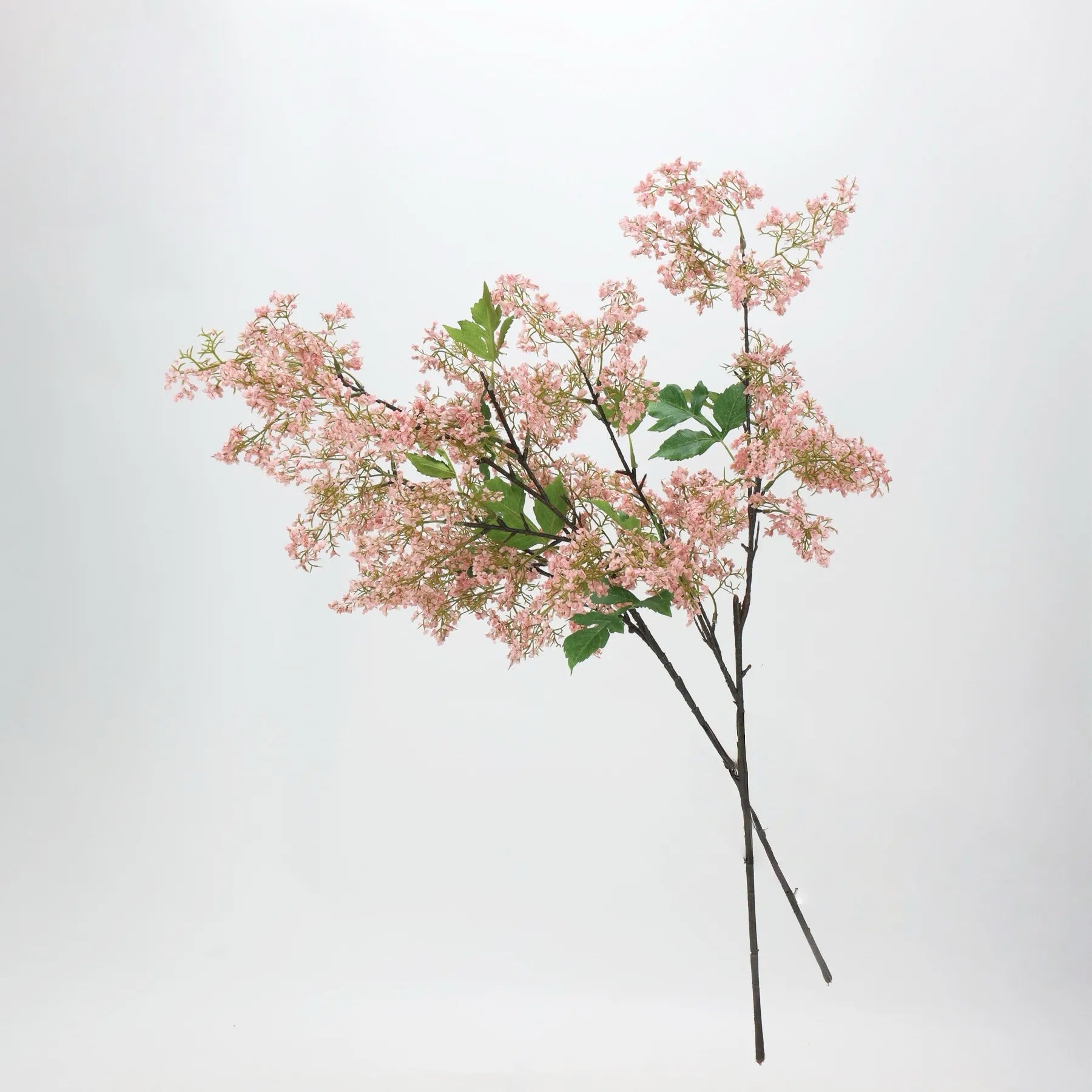ニセスモークブッシュの茎 –ピンク 31.5インチ