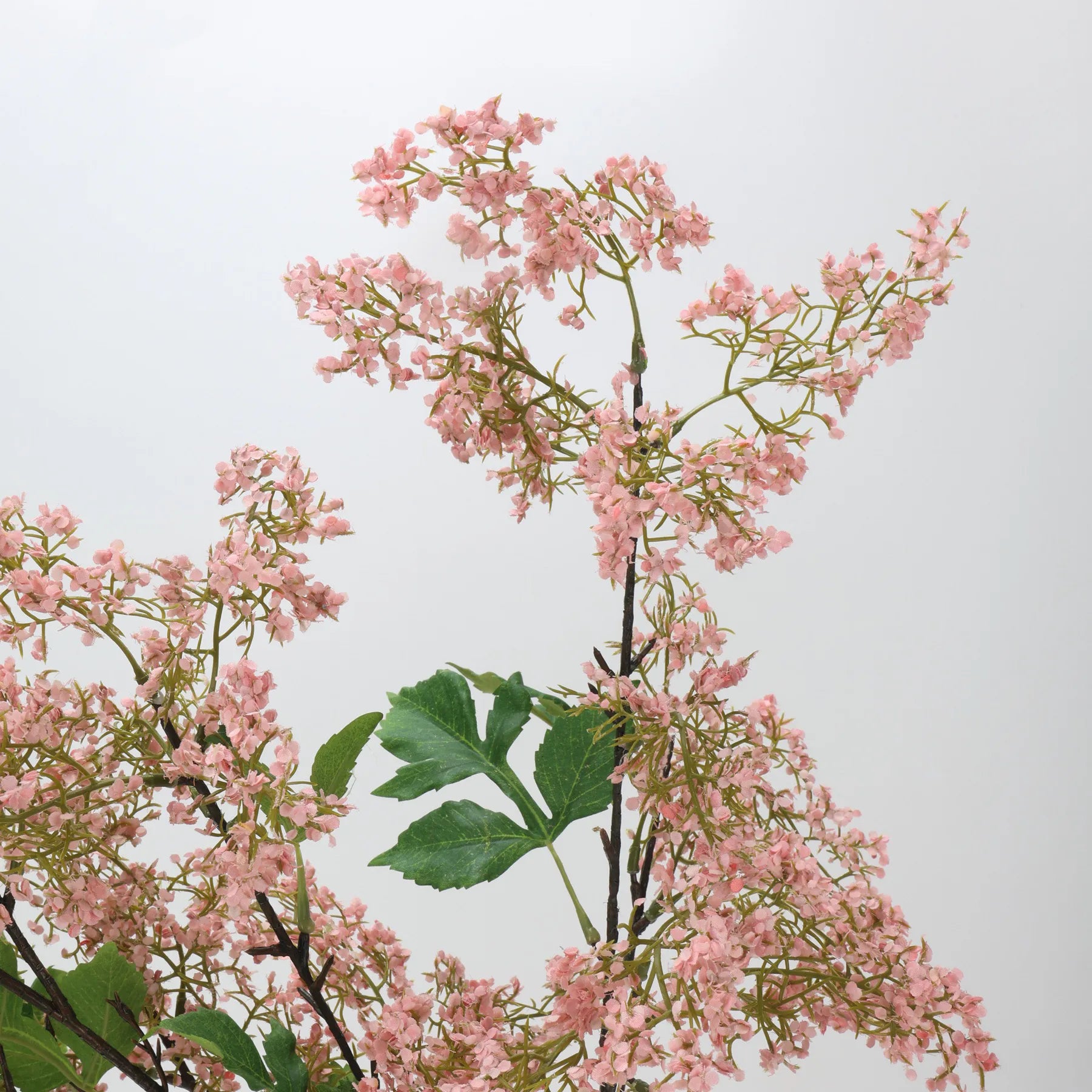 ニセスモークブッシュの茎 –ピンク 31.5インチ