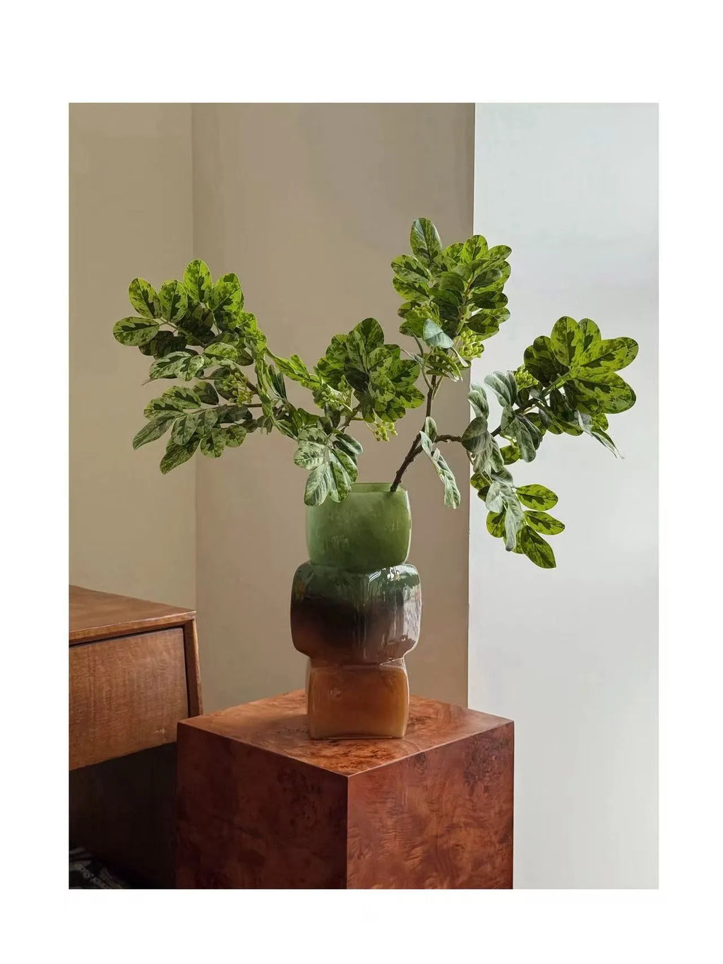 Faux Snow Bush (Breynia disticha) Branch – 25″