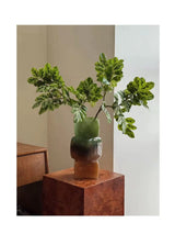 フェイクスノーブッシュ (Breynia disticha) ブランチ – 25インチ