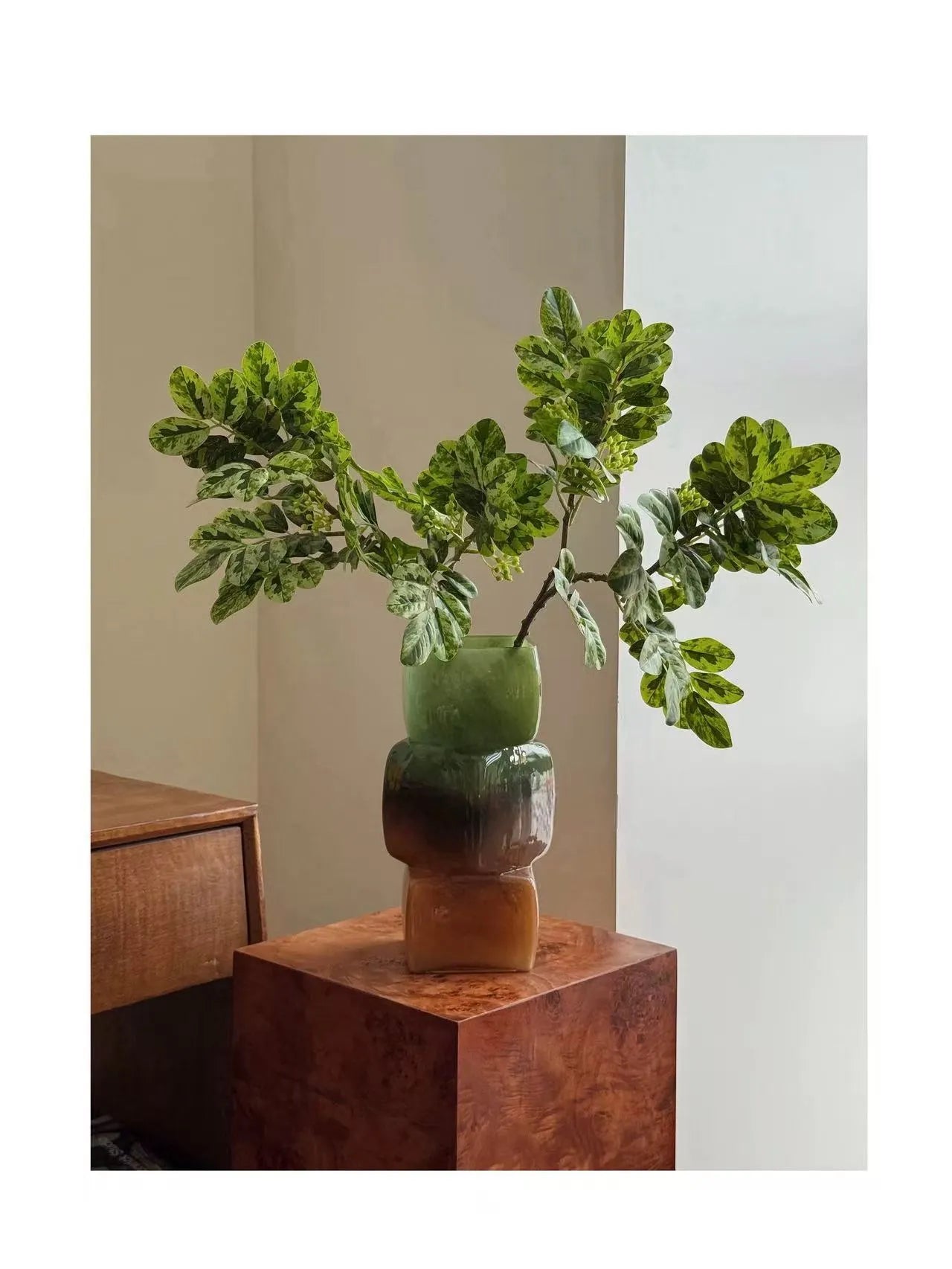 Faux Snow Bush (Breynia disticha) Branch – 25″