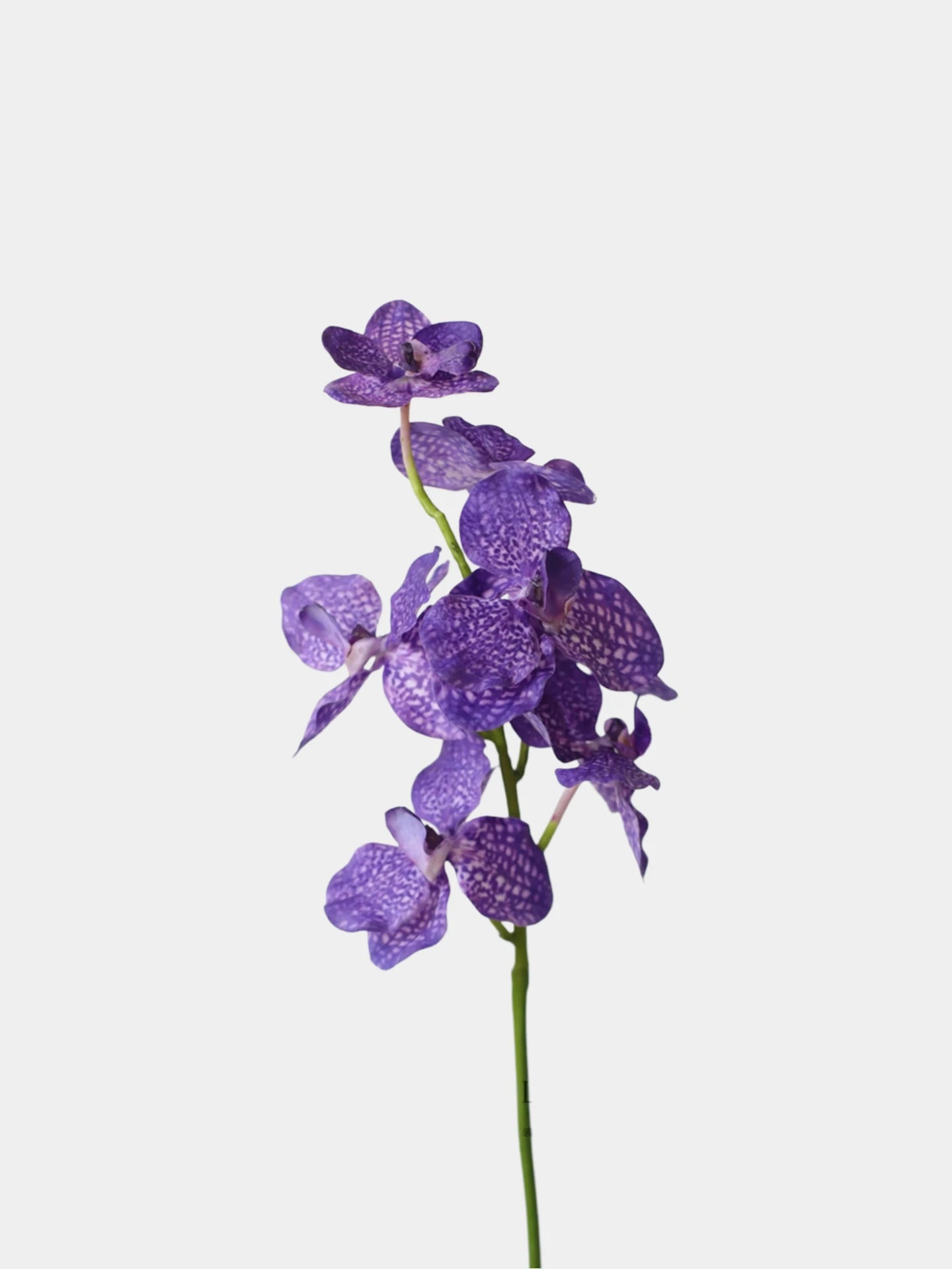 Künstlicher gesprenkelter Vanda-Orchideen-Stiel – 61 cm