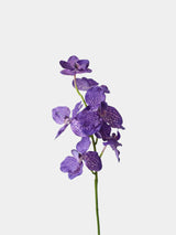 Künstlicher gesprenkelter Vanda-Orchideen-Stiel – 61 cm