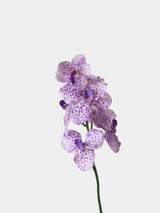 Künstlicher gesprenkelter Vanda-Orchideen-Stiel – 61 cm