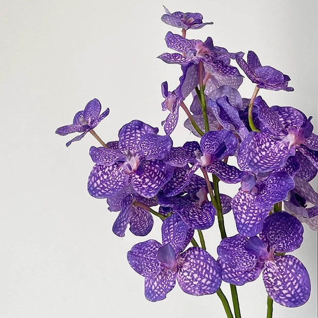 Künstlicher gesprenkelter Vanda-Orchideen-Stiel – 61 cm