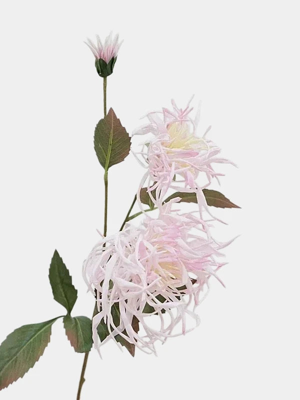 Faux Spider Chrysanthemum Stem -27"