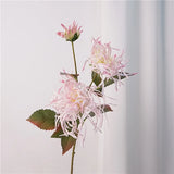 Faux Spider Chrysanthemum Stem -27"