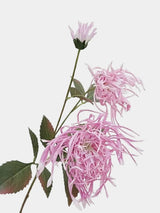 Faux Spider Chrysanthemum Stem -27"