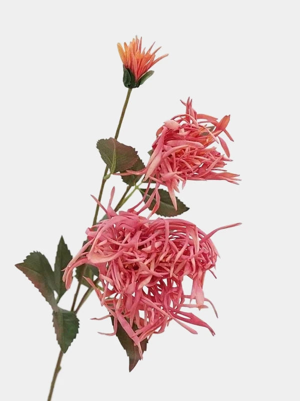 Faux Spider Chrysanthemum Stem -27"