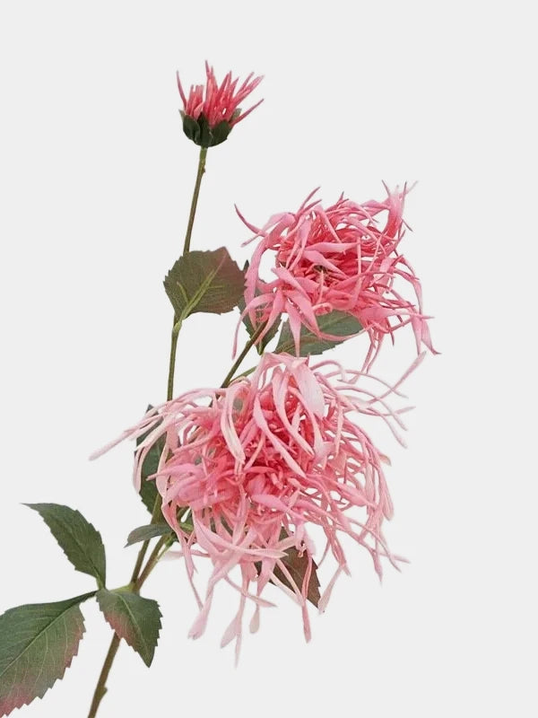 Faux Spider Chrysanthemum Stem -27"