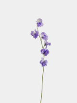 Künstlicher Duftwickenstiel – 56 cm
