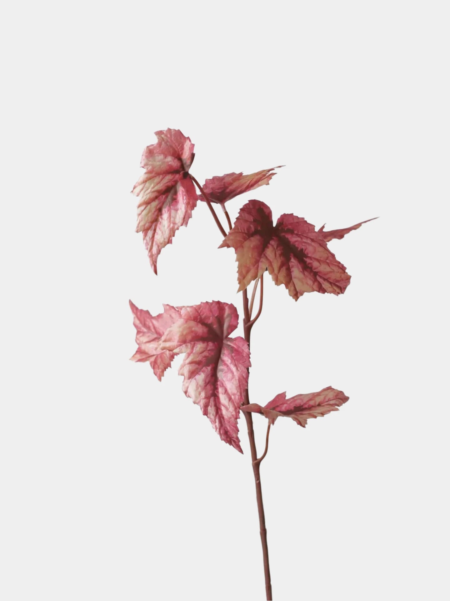 Faux Textured Begonia Leaf Spray – 74cm