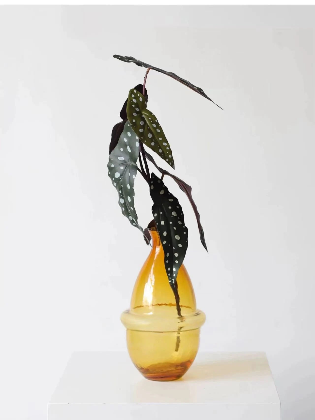 Faux Textured Begonia Leaf Spray – 74cm