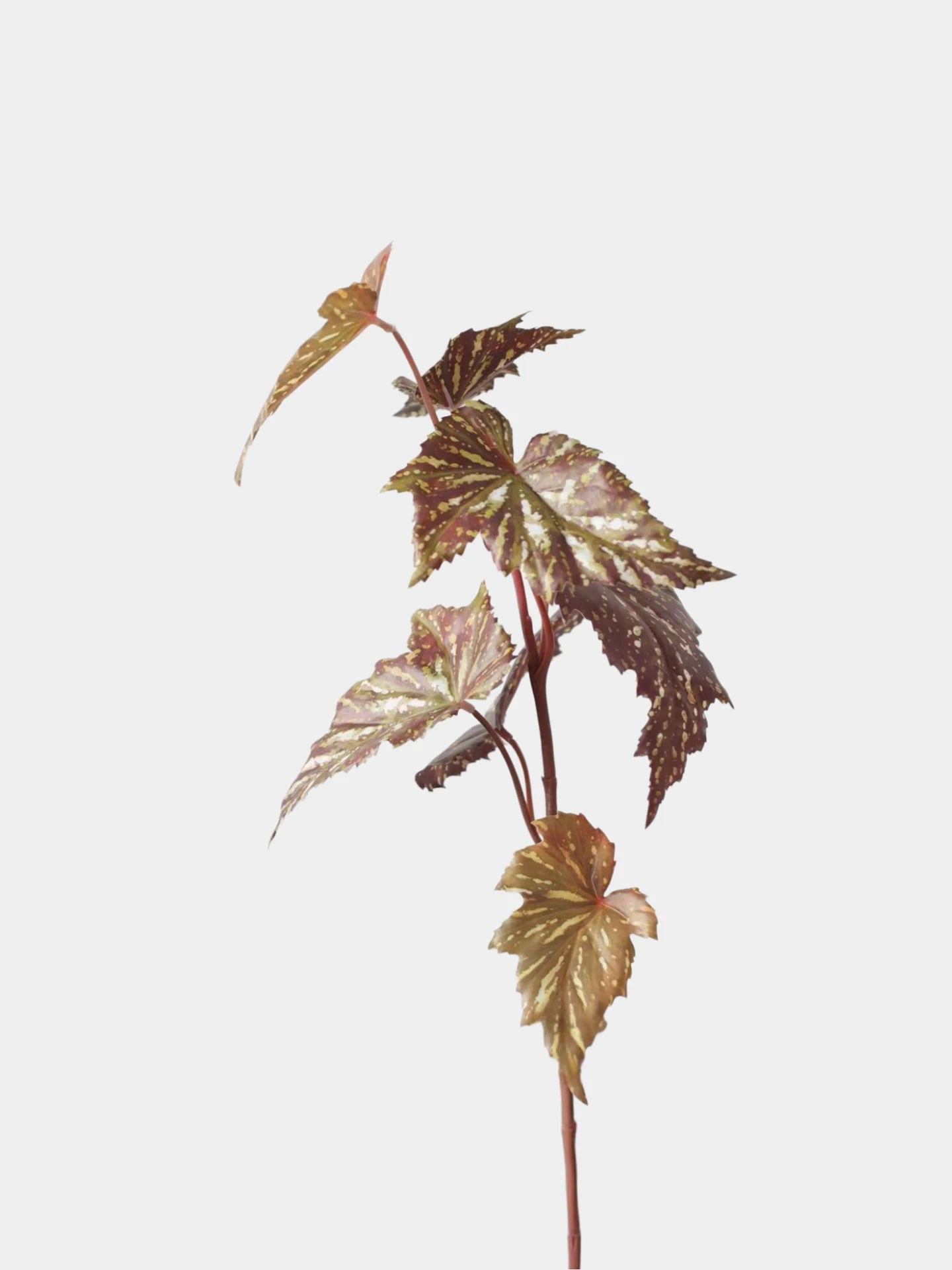 Faux Textured Begonia Leaf Spray – 74cm
