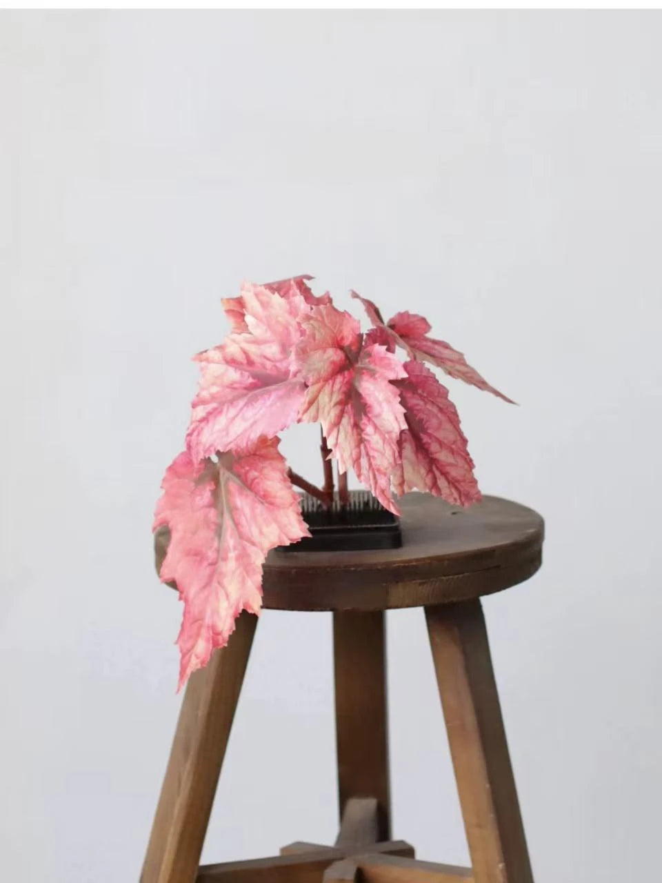 Faux Textured Begonia Leaf Spray – 74cm