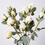 Faux Toasted Edge Spray Rose – 25"
