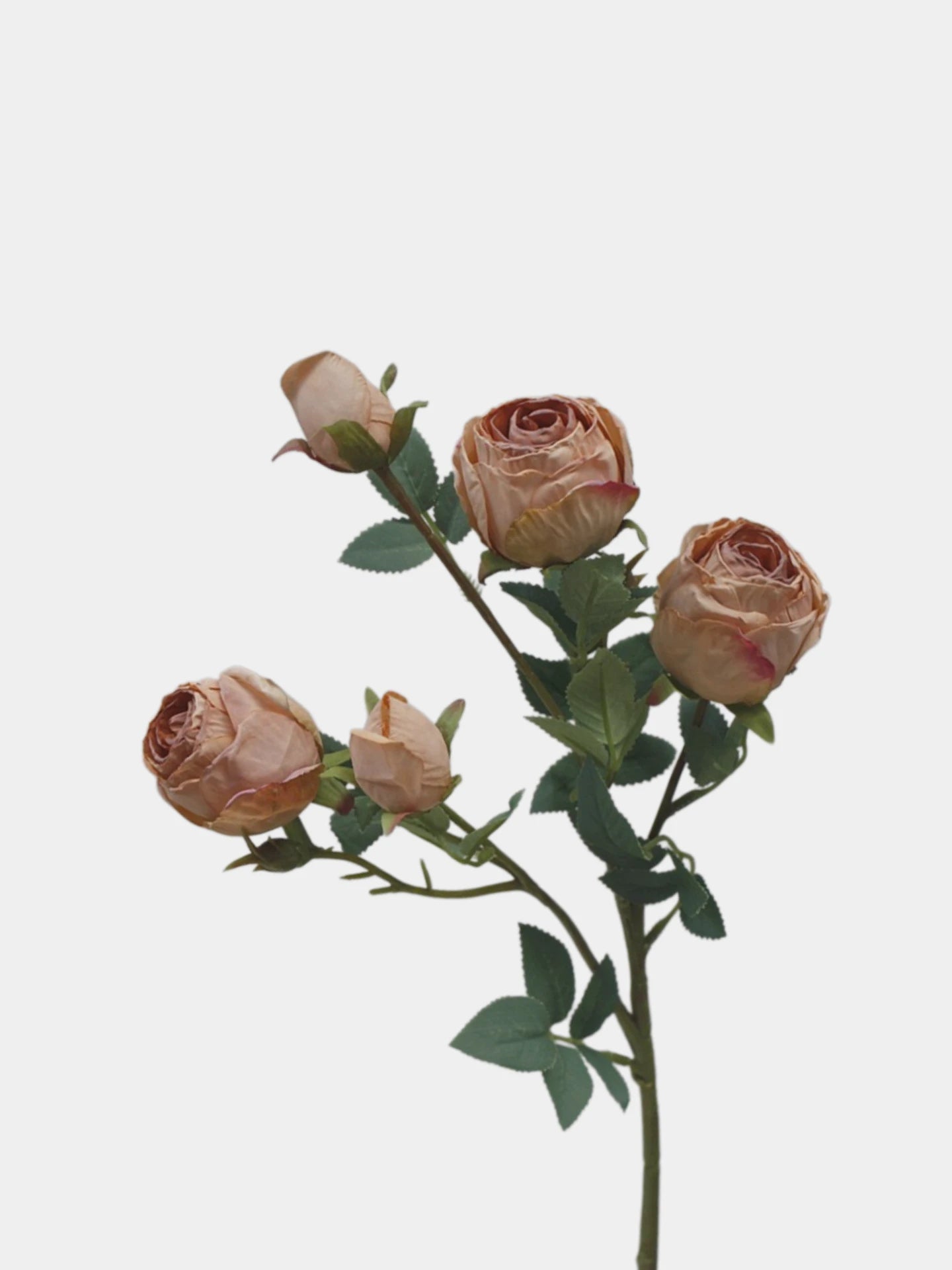 Faux Toasted Edge Spray Rose in Light Brown – 25"
