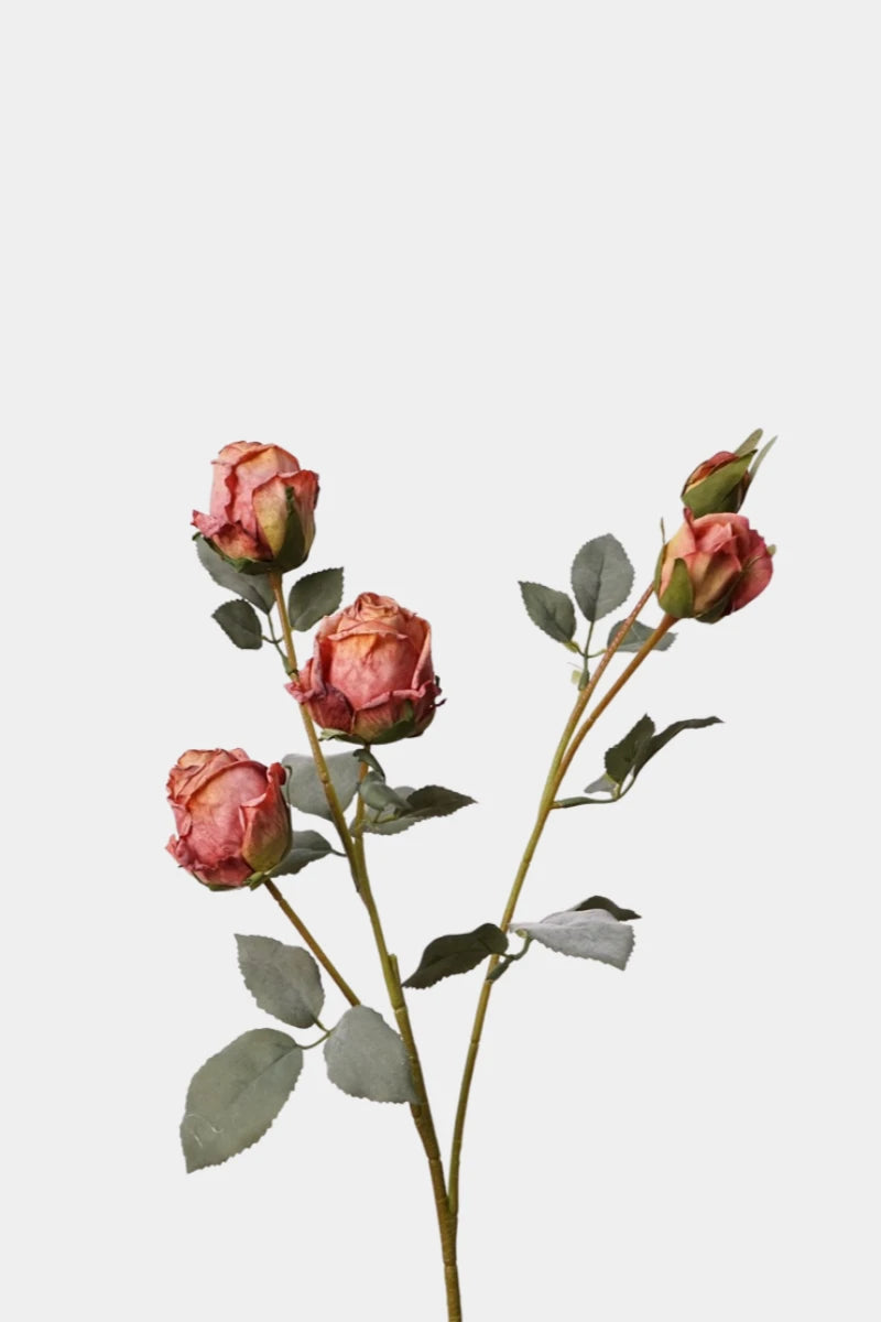 Faux Toasted Edge Spray Rose – 25"