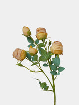 Faux Toasted Edge Spray Rose in Yellow – 25"