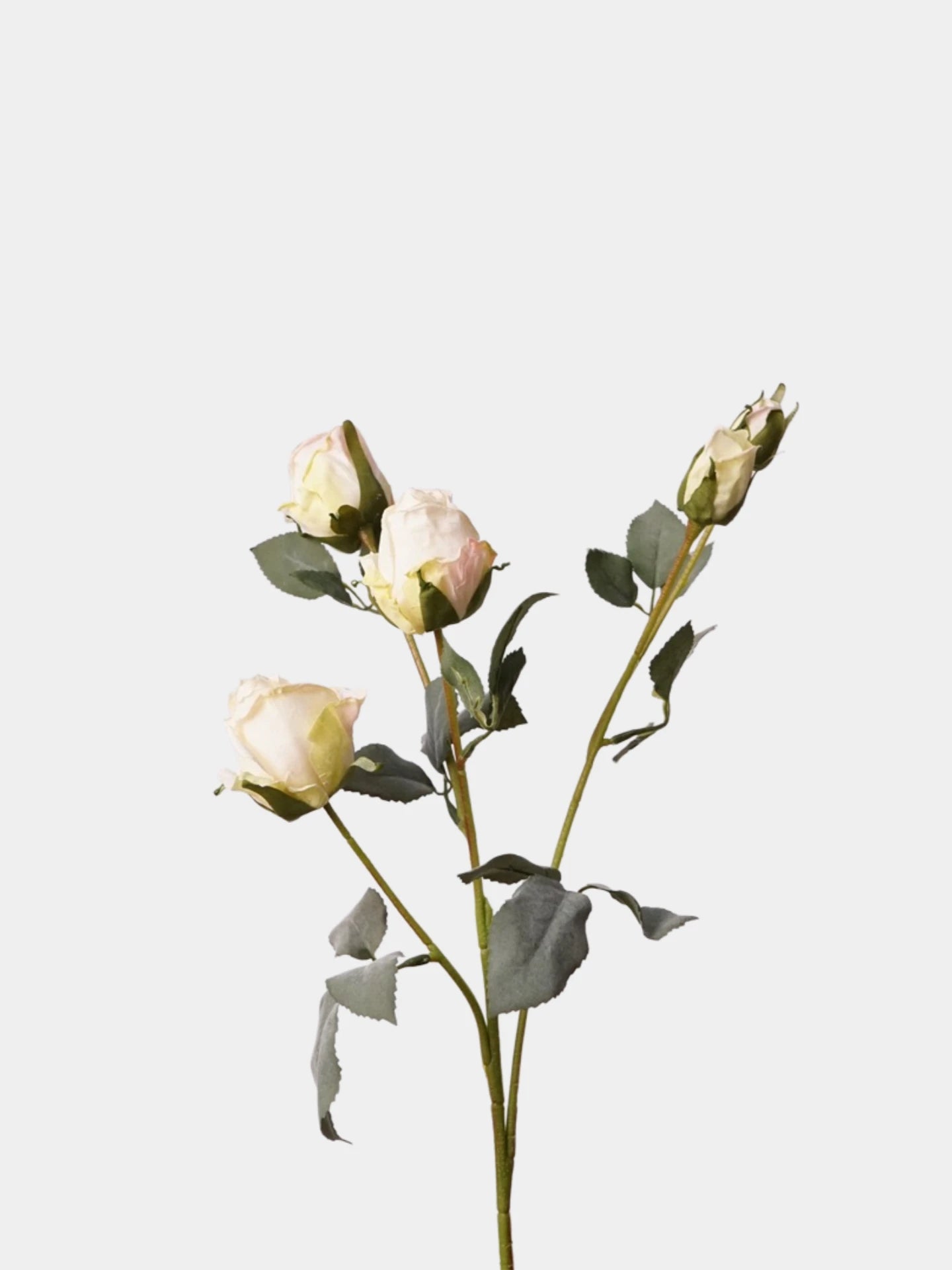 Faux Toasted Edge Spray Rose – 25"