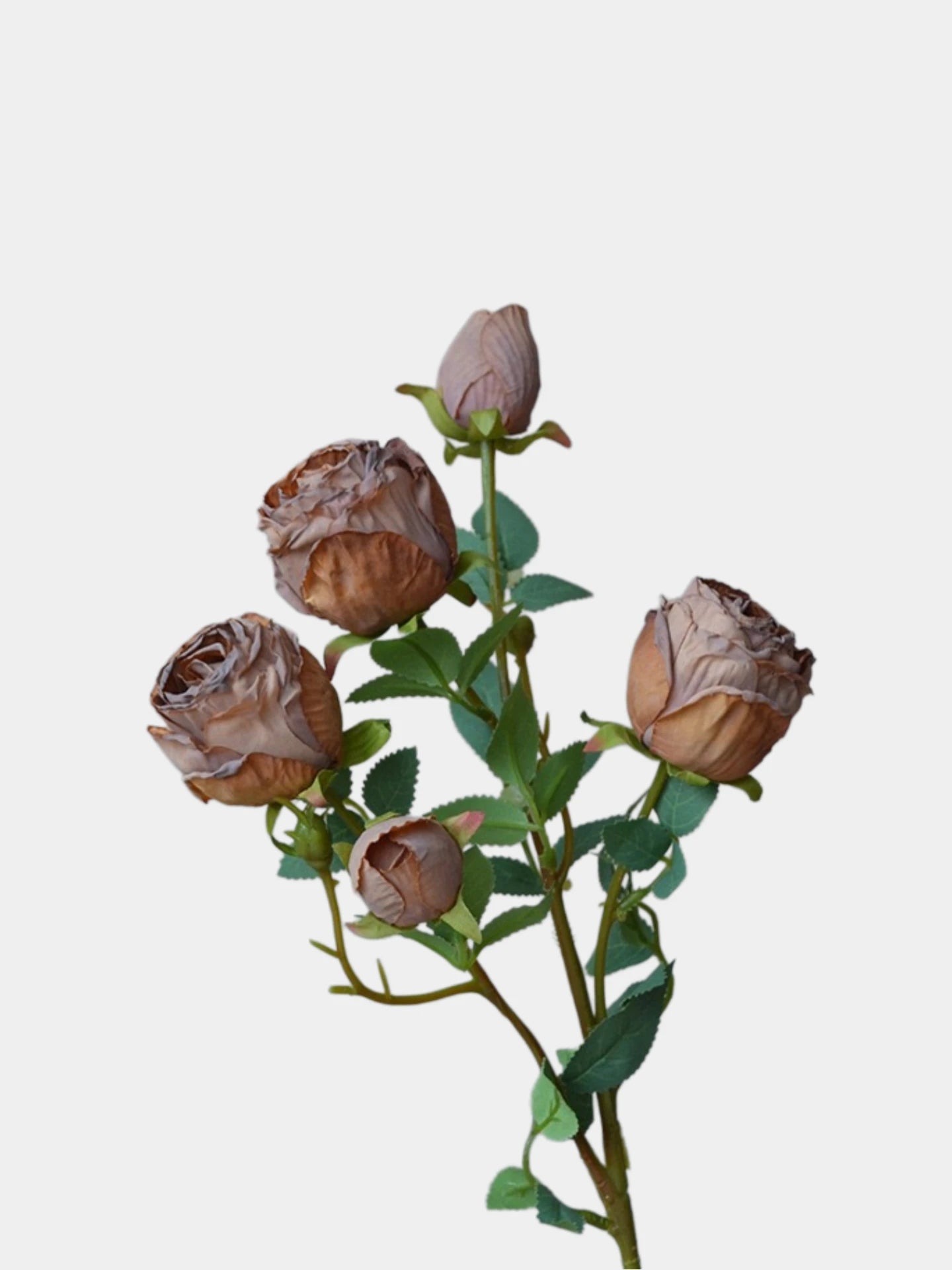 Faux Toasted Edge Spray Rose in Brown – 25"