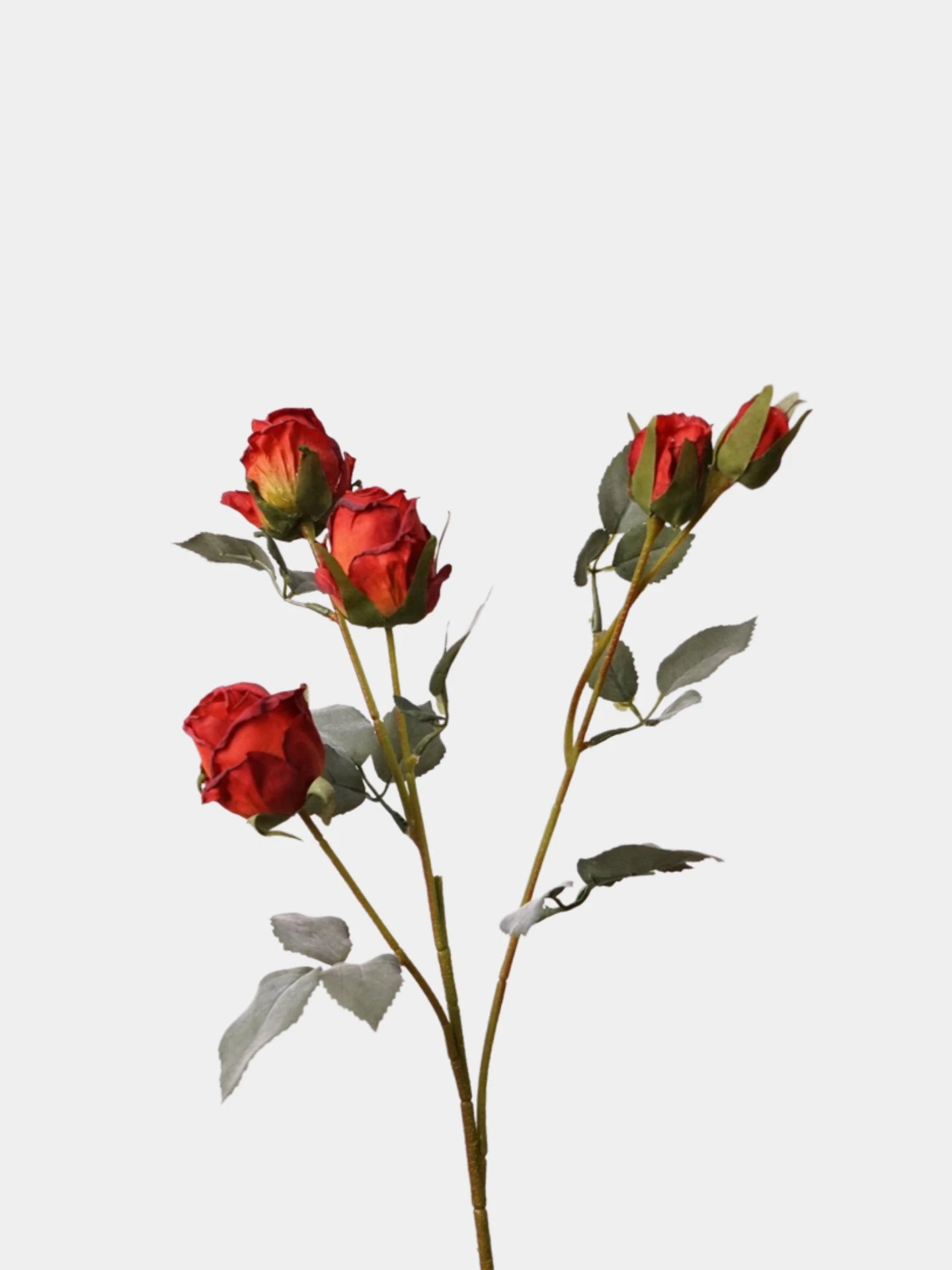 Faux Toasted Edge Spray Rose – 25"