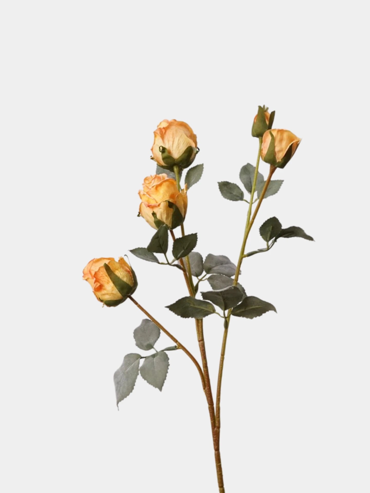 Faux Toasted Edge Spray Rose – 25"
