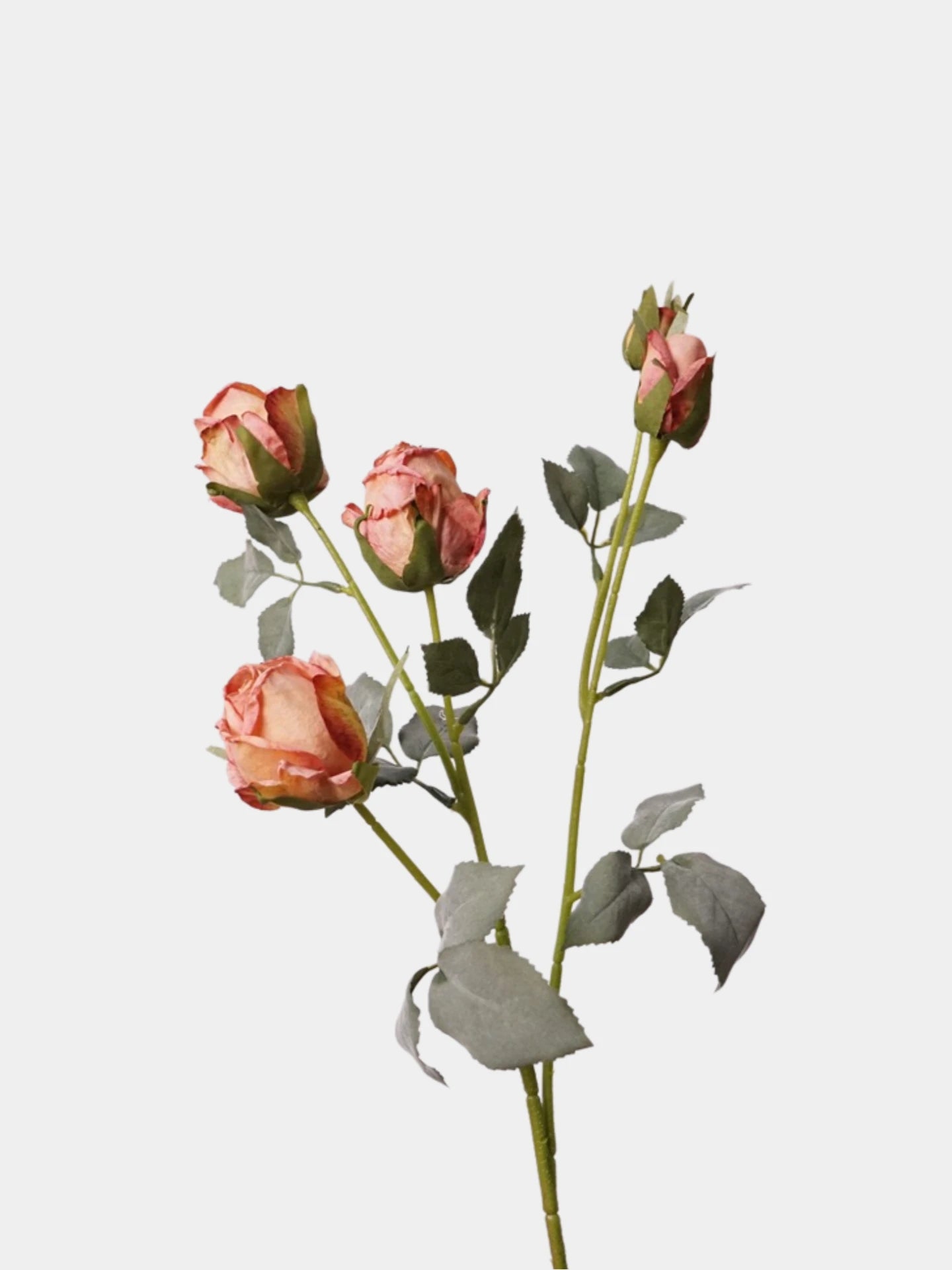 Faux Toasted Edge Spray Rose – 25"