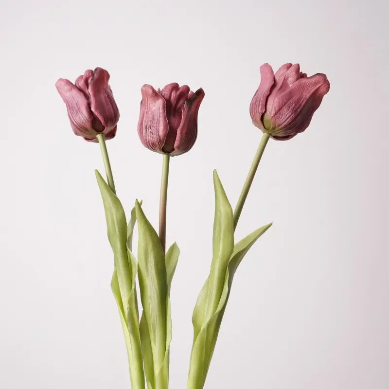 フェイクチューリップ – シングルステムまたはバンドル - ティリアンパープル