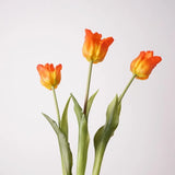 Falsche Tulpen – Einzelner Stiel oder Bündel – Orange