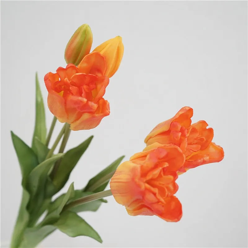 Falsche Tulpen – Einzelner Stiel oder Bündel – Orange