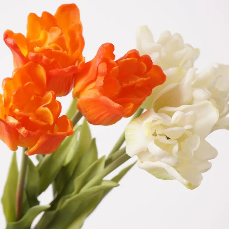 Falsche Tulpen – Einzelner Stiel oder Bündel – Orange