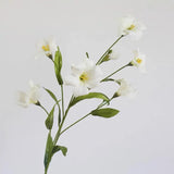 フェイクバーニシアフォルディー花茎 -30.7"