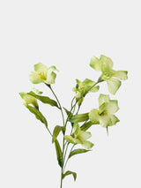 フェイクバーニシアフォルディー花茎 -30.7"