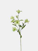 フェイクバーニシアフォルディー花茎 -30.7"