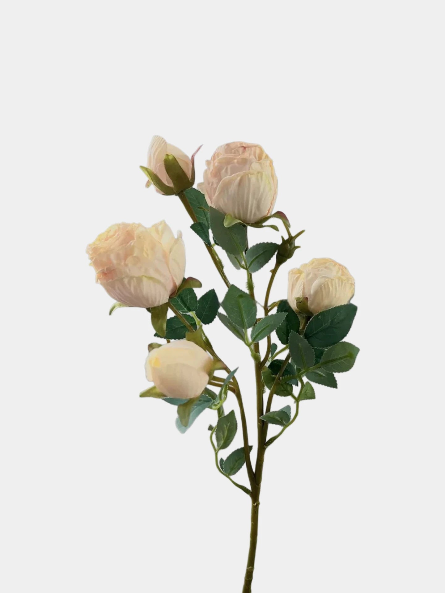 Faux Vintage Spray Rose in Champagne – 25"