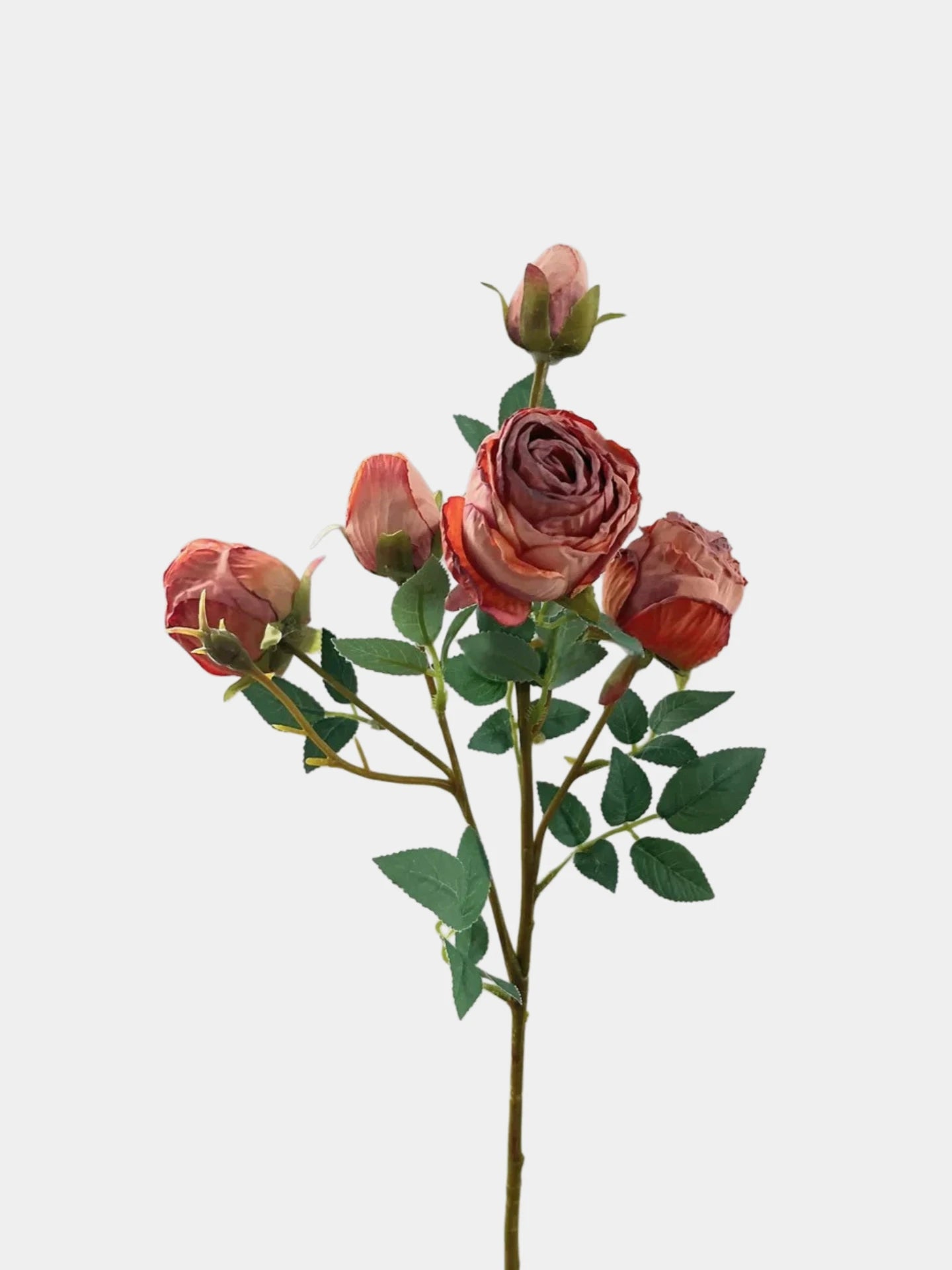 Faux Toasted Edge Spray Rose in Orange-Red – 25"