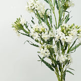 Falsche weiße Spinnenblumen-Spray – 66 cm