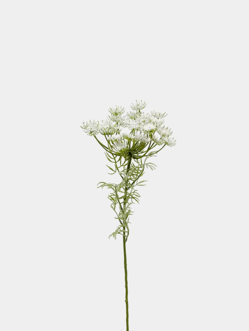 Faux White Queen Anne’s Lace – 65 cm
