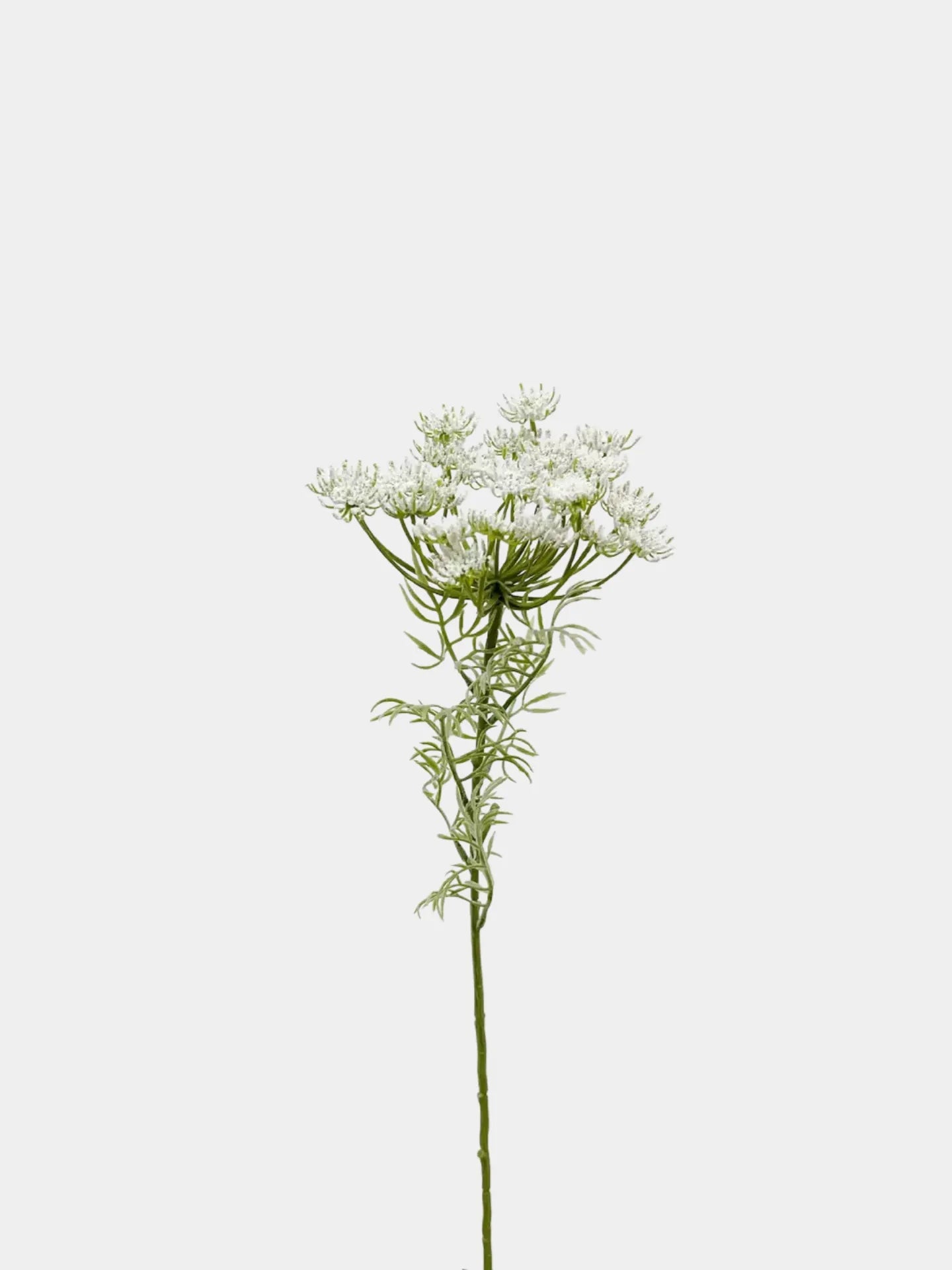 Faux White Queen Anne’s Lace – 65 cm