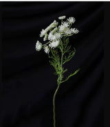 フェイクホワイトクイーンアンレース – 65 cm